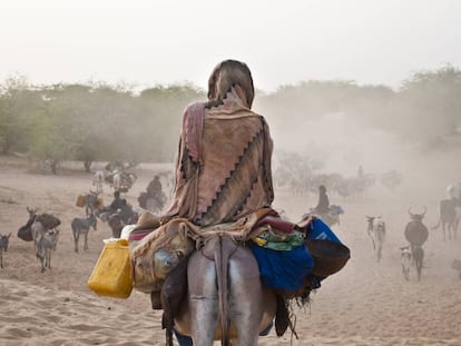 Pastores de la etnia fulani conducen su ganado en Malí.