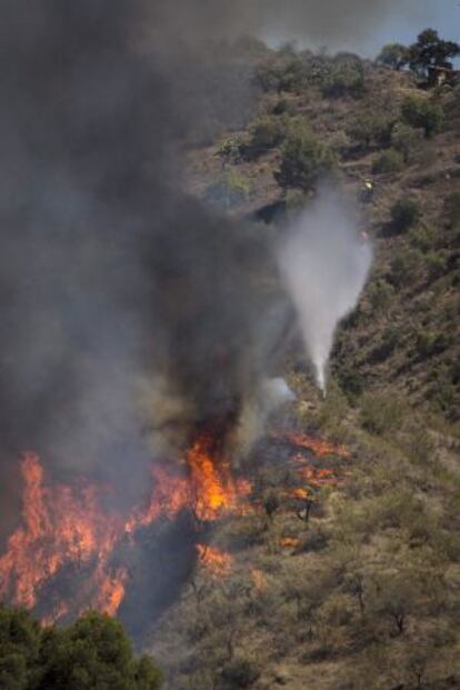 Las llamas arrasan el paraje de Los Anayas, el pasado domingo.