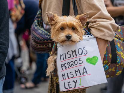 Una marcha en Barcelona para pedir al Gobierno que incluya a los perros de caza en la Ley de Bienestar Animal el pasado 16 de octubre.