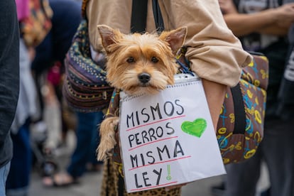 Una marcha en Barcelona para pedir al Gobierno que incluya a los perros de caza en la Ley de Bienestar Animal el pasado 16 de octubre.