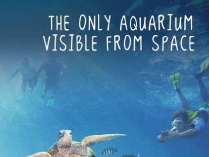 Australia. "El único acuario visible desde el espacio". Agencia desconocida.