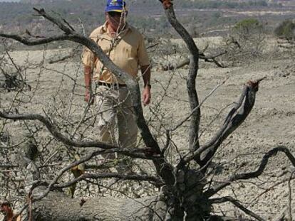 Farmer Daniel Martínez on his land in Torremendo, Orihuela.