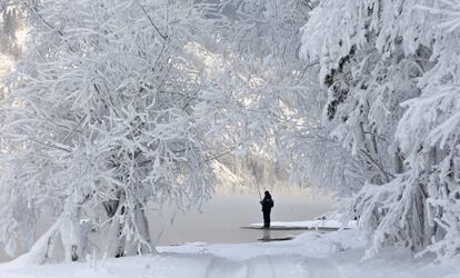 Aunque ese día el termómetro marcaba 16 grados bajo cero y según el autor de la foto llegó a descender hasta los -32ºC, el frío no parece arredrar al pescador de la imagen, tomada el pasado 10 de diciembre a orillas del río Yeniséi, en las afueras de la ciudad rusa de Krasnoyarsk (de algo más de un millón de habitantes), una de las paradas del mítico ferrocarril Transiberiano en el corazón de Siberia. La capa blanca que tan bellamente cubre los árboles no es nieve, es cencellada, un fenómeno meteorológico (hidrometeoro) que se produce cuando la temperatura es muy baja y los bancos de niebla envuelven pinos, abetos, sauces y abedules formando delicadas plumas y agujas de hielo sobre sus ramas. Un paisaje blanco y frío que el escritor Antón Chéjov descubrió durante un viaje por Siberia: “El Yeniséi, la taiga, las estaciones de postas, los cocheros, la naturaleza salvaje, la vida salvaje (…), todo eso en su conjunto es tan agradable que no puedo describirlo”.