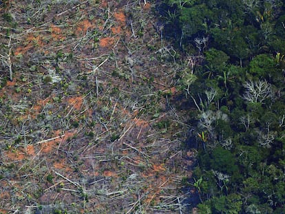 Imagem de área da Amazônia devastada a 65 km de Porto Velho, Rondônia, em agosto de 2019.