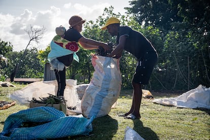 Una familia recoge vainas de vainilla en la aldea de Andasimahay, en el noreste de Madagascar, el 25 de mayo de 2025.
