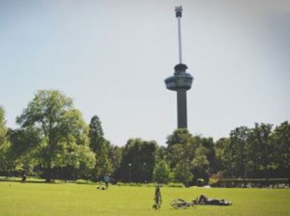 Explanada de Het Park, el parque sin nombre de Róterdam.