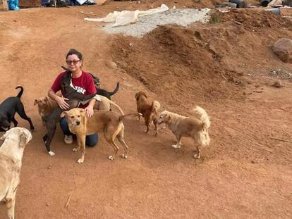 Guillermina Galván junto a un grupo de perros, en su refugio en Ensenada (México), en una imagen de sus redes sociales.