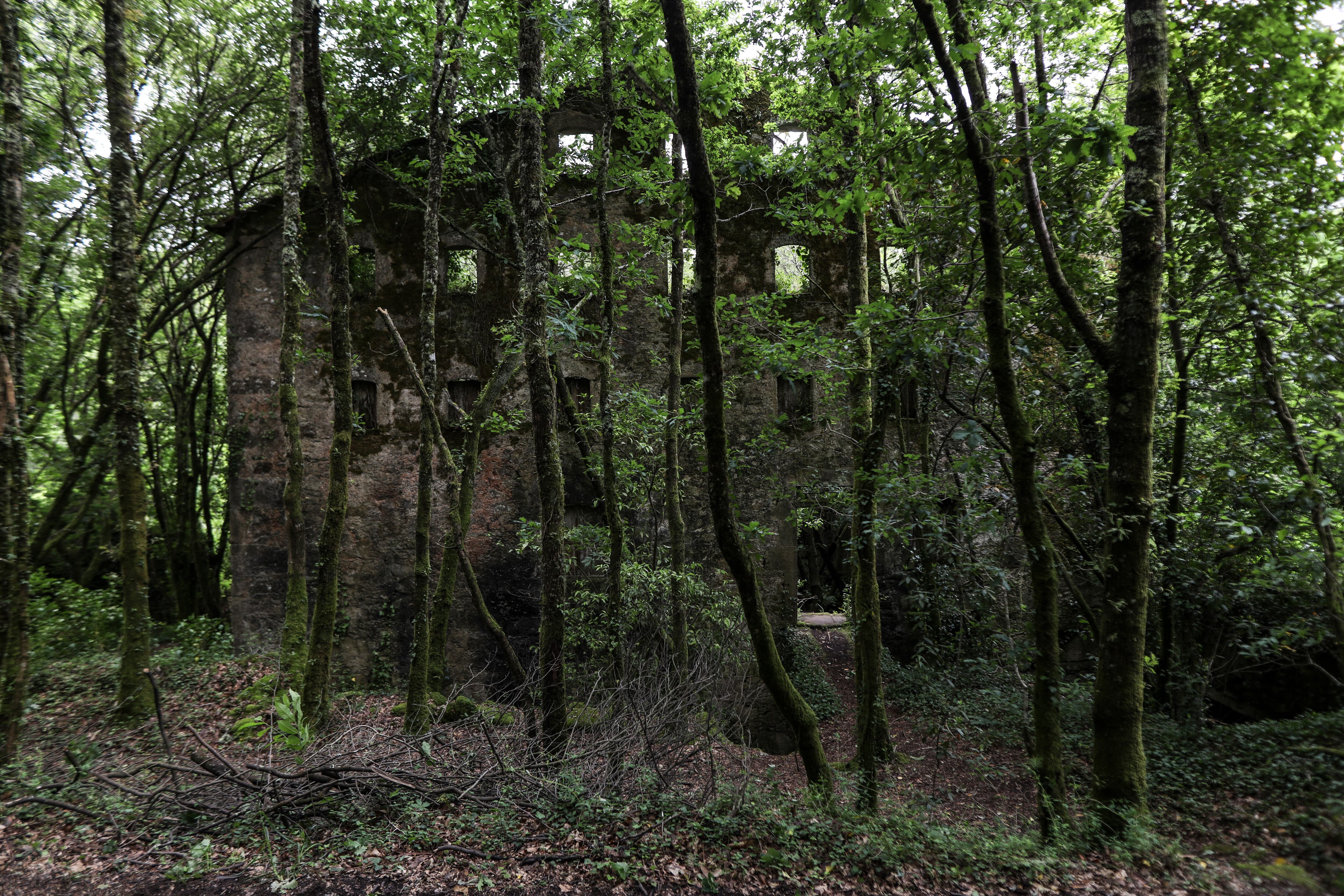 Fachada de la fábrica de Fontán donde se aprecia la gran cantidad de ventanas que facilitaba el secado del papel.  