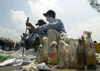 Los campesinos bloquean una carretera portando machetes y cócteles molotov.