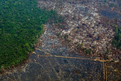 Uma zona da Amazonia deforestada em uma vista aérea tomada em agosto passado na reserva biológica de Altamira.