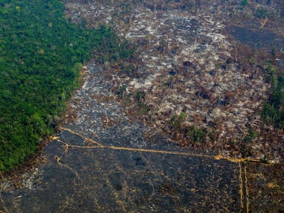 Una zona de la Amazonia deforestada en una vista aérea tomada en agosto pasado en la reserva biológica de Altamira.