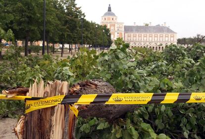 El Palacio de Aranjuez permanecerá cerrado hasta que Patrimonio Nacional pueda evaluar los daños que causó la tormenta del domingo. El arbolado de alrededor del Palacio está restringido por posibles caídas de ramas.