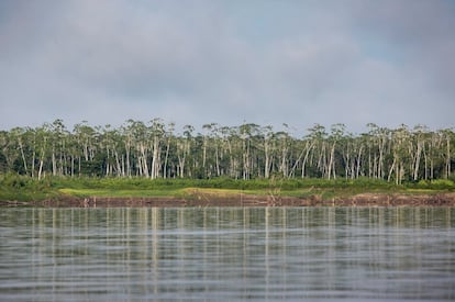  El río Marañón es uno de los afluentes del Amazonas, al que da lugar en su unión con el Ucayali. De sus cerca de 1.600 kilometros sólo es navegable su curso bajo en el que está proyectada la construcción de la Hidrovía Amazónica. 