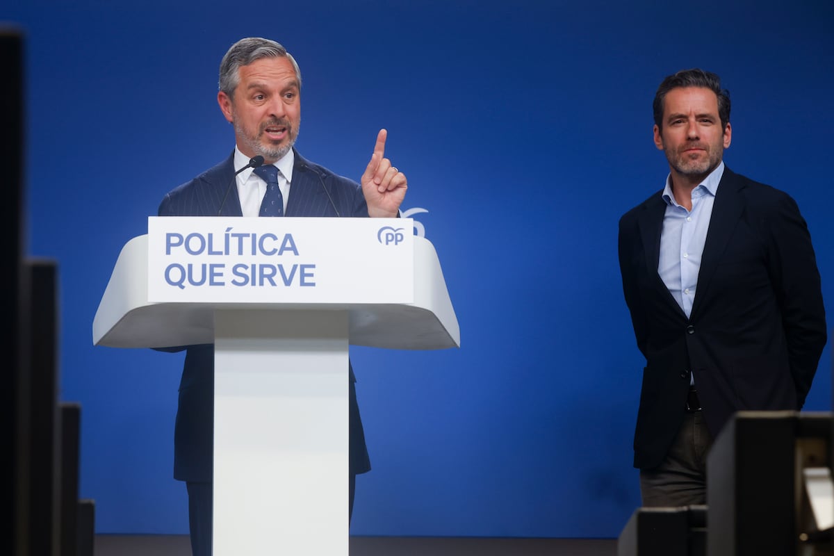 El vicesecretario de Economía defiende que “si no se respeta” la competencia y “las mejores condiciones posibles” para autónomos y particulares “el PP estará en contra” de la operación