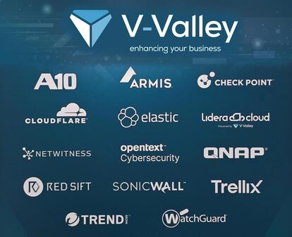 Opciones de la compañías V-Valley