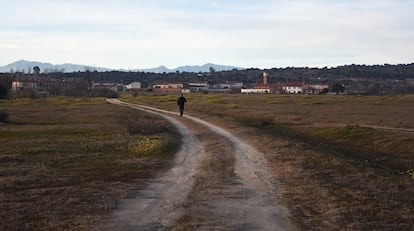 Un vecino pasea por los terrenos donde Meta proyecta construir su nuevo centro de datos en el municipio de Talavera de la Reina, con la localidad de Gamonal al fondo.