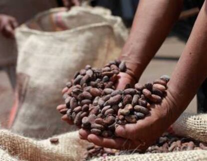 Cacao de una cooperativa de productores en Ecuador.