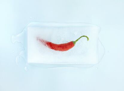 <p>¿Es posible aumentar la libido simplemente comiendo cierto alimento? La eterna pregunta por fin respondida claramente por la ciencia: <a href="https://elpais.com/elpais/2016/02/10/buenavida/1455124485_473120.html" target="_blank">sí, aunque solo lo conseguirá con algunos</a>.</p> <p><a href="https://www.sciencedirect.com/science/article/pii/S0963996911001451" rel="nofollow" target="_blank">Una recopilación de la literatura científica sobre afrodisiacos</a>, realizada por la Universidad de Guelph, Canadá, concluyó que ciertos productos naturales —como el ginseng, el azafrán y la yohimbina— nos predisponen a tener un revolcón. </p> <p>Algunos de ellos desinhiben, otros evocan los órganos sexuales y otros incitan, pero no son mágicos: <b>si no le ponemos la pasión necesaria al asunto, no funcionarán</b>. En realidad, las sustancias más importantes que necesitamos para mantener el apetito sexual activo están en nuestro cuerpo: las hormonas. Y, a más práctica, más ganas. </p>