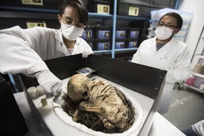A child's mummy from the pre-Colombian era, found in the Tarahumara mountains in the northern state of Chihuahua.