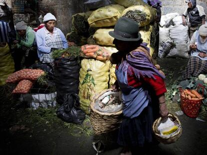 Una mujer transporta alimentos en el mercado de San Roque de Quito.