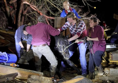 Um cavalo é resgatado de um celeiro que desabou no Condado de St. Charles, Missouri. No estado do Tennessee, pelo menos três pessoas morreram na tempestade, conforme o porta-voz da Agência Estadual de Emergências, Dean Flener.