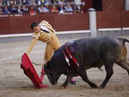 Paco Ureña y el toro Pastelero, de Victorino Martín, el 6 de junio en Madrid.