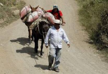 Fotografía de operarios de la empresa Sanadores Ambientales trabajando en su planta ubicada en la población de Salgar, Antioquia.
