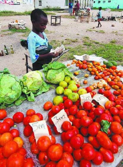El kilo de tomates se vendía a millones de dólares el pasado miércoles en Harare.
