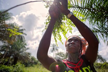 En la aldea de Katfoura ,en las Islas Tristao en Guinea, la organización de la sociedad civil Partenariat Recherches Environnement Medias (PREM) está brindando a las mujeres rurales nuevas oportunidades para generar ingresos y mejorar la vida comunitaria.