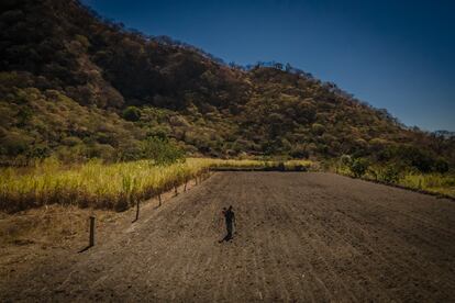 Un productor de maíz trabaja en su terreno, en el Estado de Nayarit, en marzo de 2023.