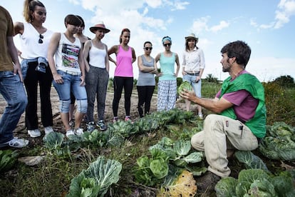 Voluntarios de Espigoladors se preparan para recoger coles y lechugas.