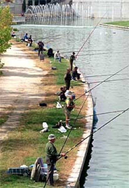 Un grupo de pescadores, ayer, en parque Juan Carlos I.