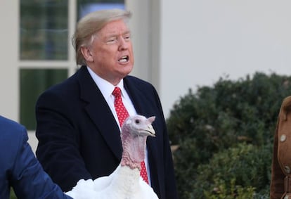 El presidente de EE UU, Donald Trump, junto a un pavo, símbolo de Acción de Gracias