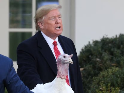 El presidente de EE UU, Donald Trump, junto a un pavo, símbolo de Acción de Gracias