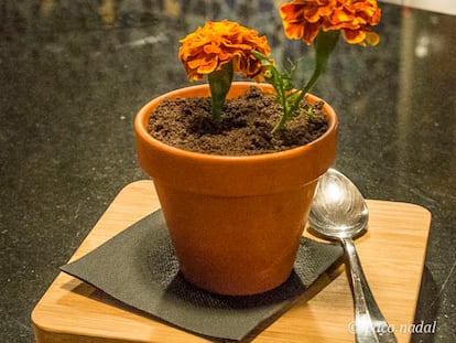 Comer bien en Tenerife