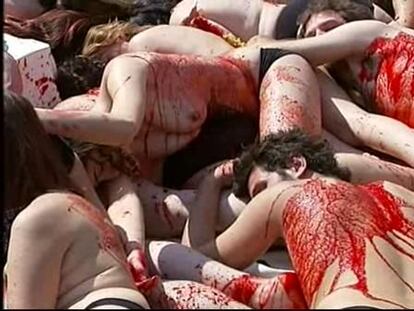 Protesta antitaurina