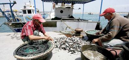 Pescadores en el puerto de la Atunara, en La Línea (Cádiz).