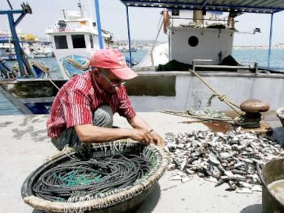 Pescadores en el puerto de la Atunara, en La L&iacute;nea (C&aacute;diz). 