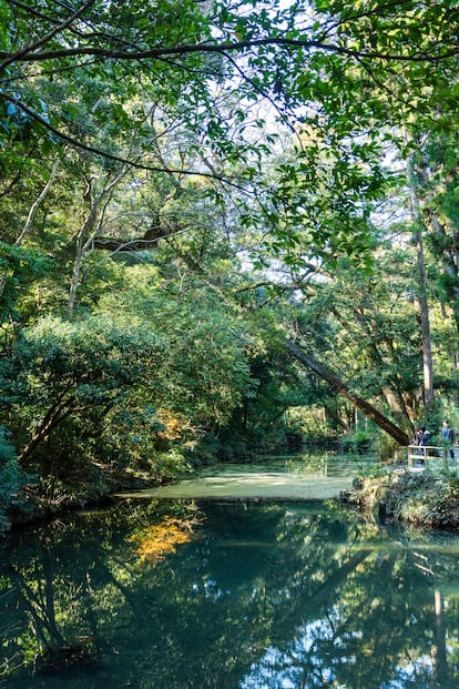 El gran santuario de Ise es un lugar que invita a estar en paz.