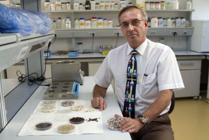 Antonio de Ron, en el laboratorio de la Misión Biológica de Pontevedra.