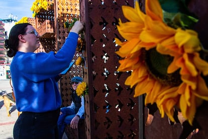 Una habitante de la ciudad de Reno, Nevada (EE UU), colocan girasoles en la plaza de la ciudad como símbolo de apoyo a Ucrania.