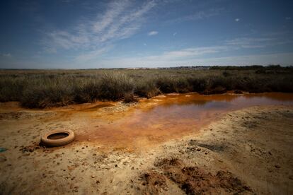 Un neumático, en uno de los esteros del río Odiel, entre Aljaraque y Huelva.