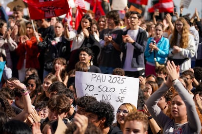 Participantes en la concentración convocada este viernes por el Sindicato de Estudiantes ante la Consejería de Educación en Madrid. 