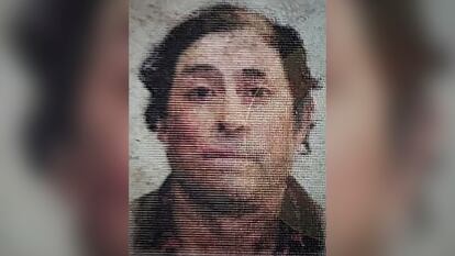 José Luis Silva, el defensor de los bosques de México que nunca volvió