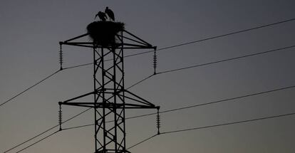 Dos cigüeñas permanecen en el nido de la torre de un tendido eléctrico. 