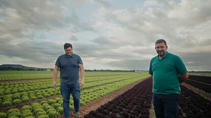 La cadena de restauración apuesta por los proveedores locales. Diego Supervía, en la imagen junto al chef Dani García (a la derecha), controla las lechugas que van de Soria a las hamburguesas de McDonald's.