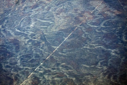 A road cuts through arid land in outback Western Australia, November 12, 2015.      REUTERS/David Gray