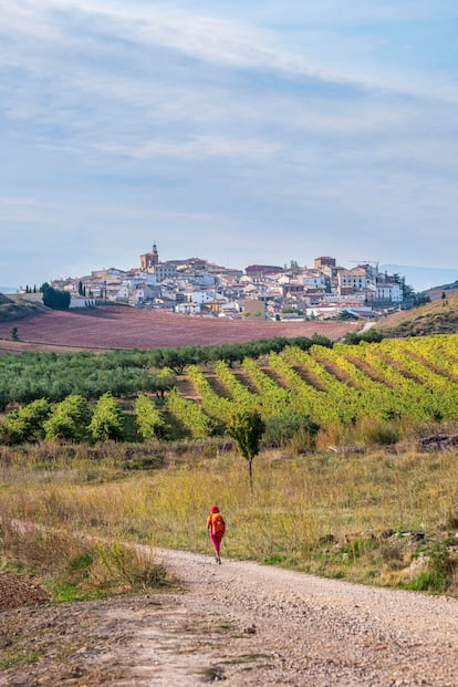 Un peregrino del Camino de Santiago, con la localidad de Zirauki al fondo.