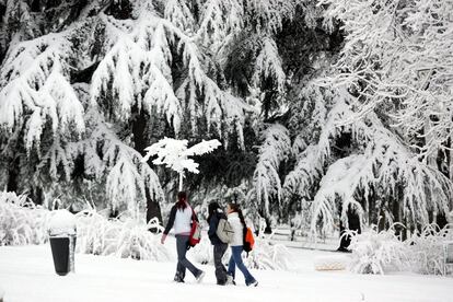 La nieve cubrió el parque del Paraíso, en la avenida de Arcentales de San Blas, durante una nevada de febrero de 2005.