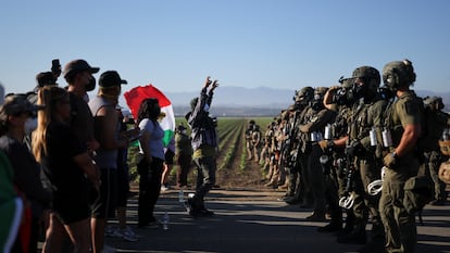 Agentes federales de inmigración realizaron redadas en dos plantaciones de cannabis del sur de California, el 10 de julio.